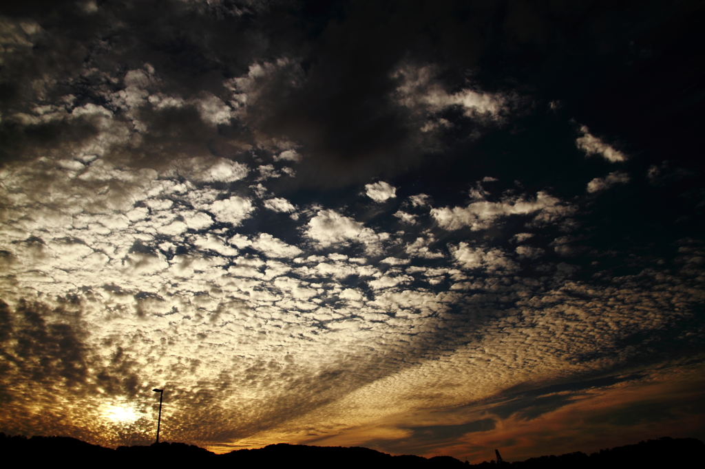 今日の夕日