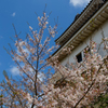 春の城