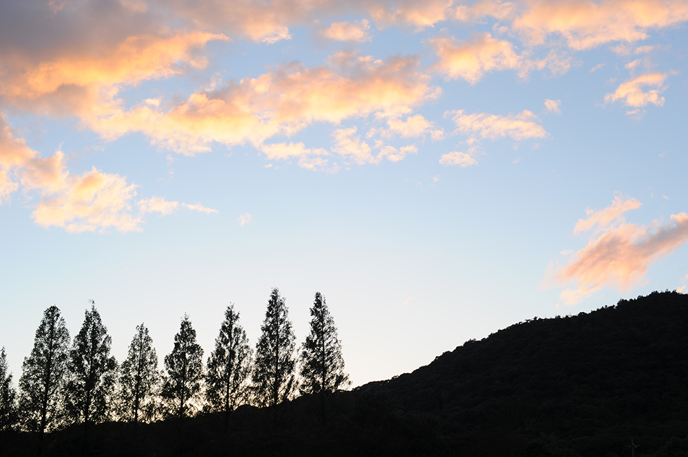 山口の夕日
