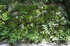 緑の石