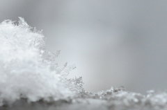 雪の結晶?