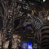 丸の内、夜のZEBRA