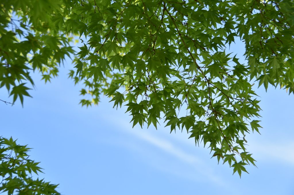 春空