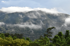 箱根の朝