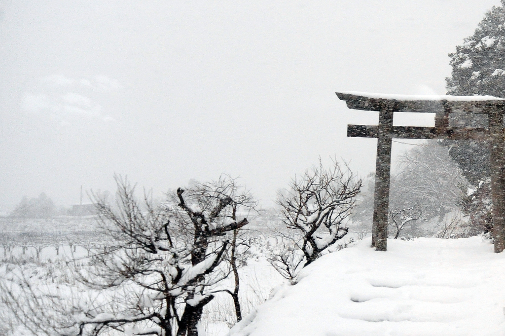 冬の鳥居