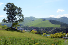 池の平の山から