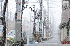 東京初雪