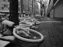 これからもっと積もります・・