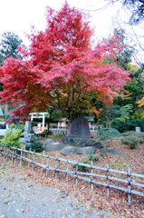 DSC00897