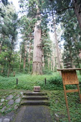DSC02912