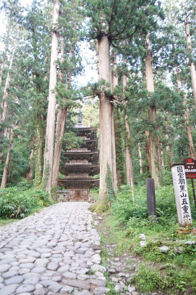 DSC02914