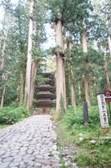 DSC02914