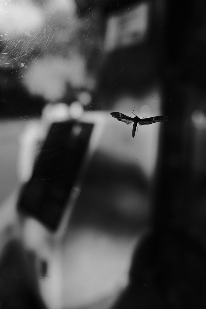 frequency 1324