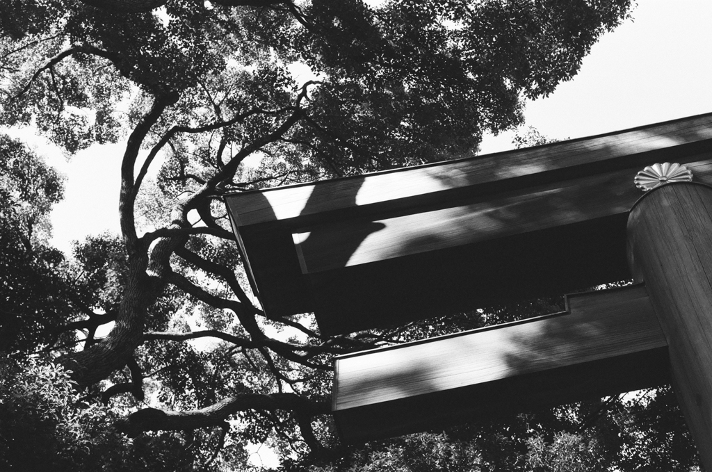 frequency 0977