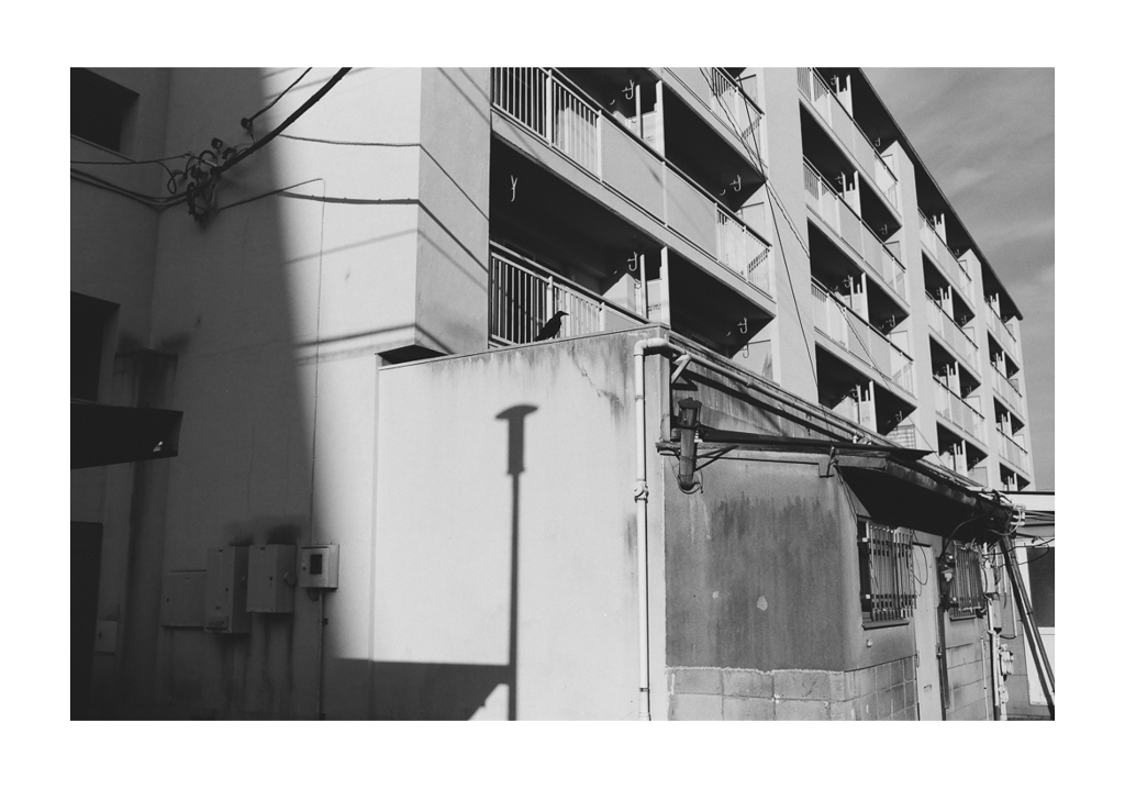 frequency 2261