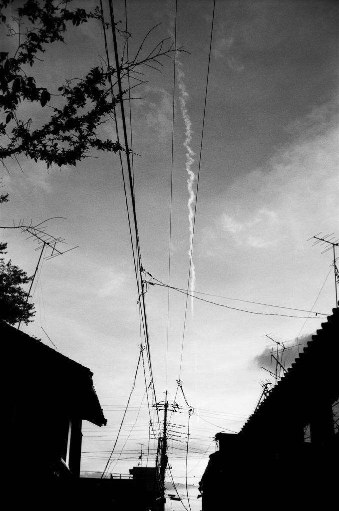 frequency 2198