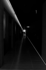 frequency 0317