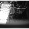 frequency 2793