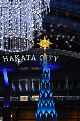 博多の星