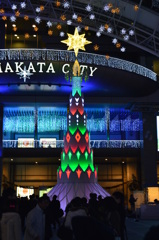 スイカのような・・・