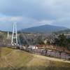 九重夢大吊橋