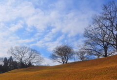 DSC_0503