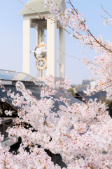 益子駅春景