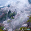 吉野山