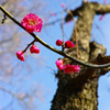 Small Spring