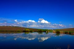 ウクライナの田舎の池