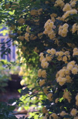 DSCF2626