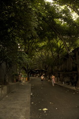 DSC07500
