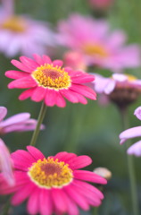 DSCF2609