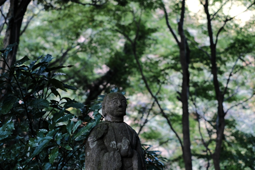 願い