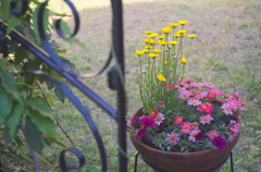 DSCF2592