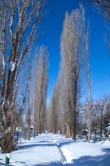 DSC06826