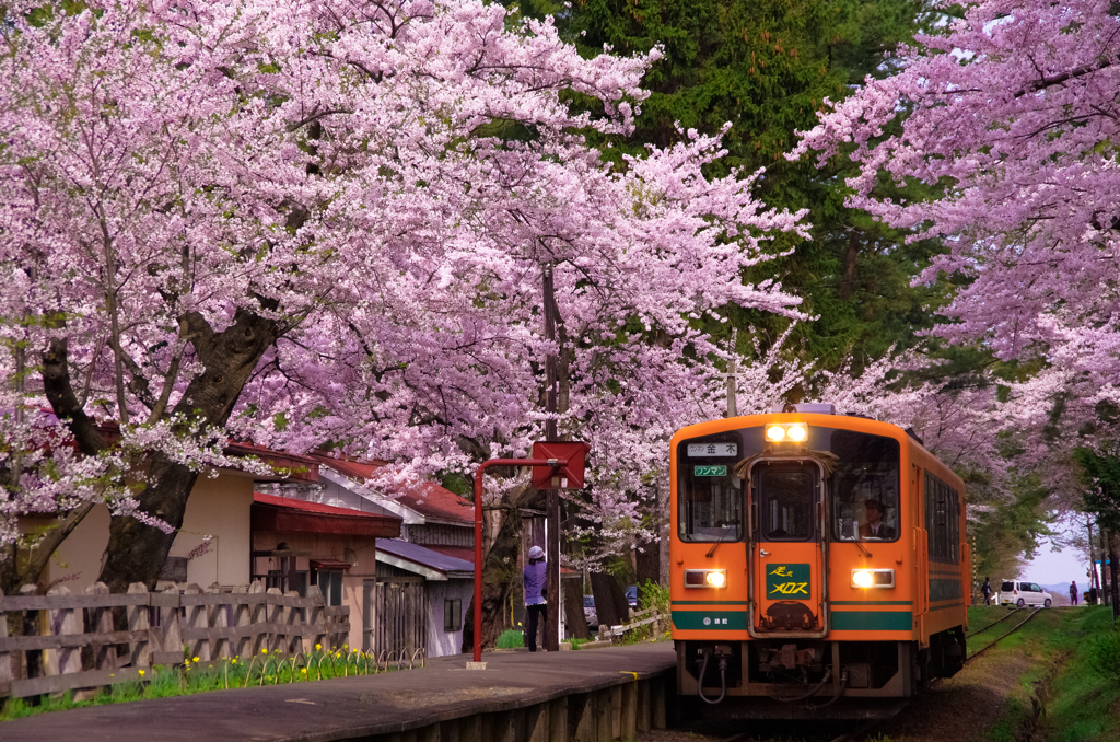 津軽鉄道　芦野公園周辺・・・