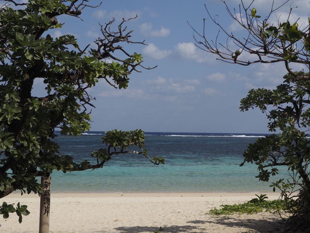 宮古島・新城海岸ー１