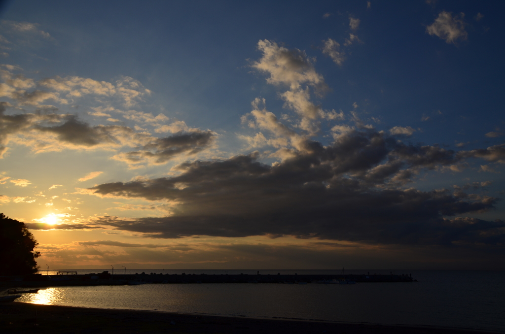 DSC_0295