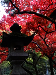 最乗寺