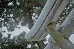 ふわっふわの雪