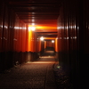 千本鳥居