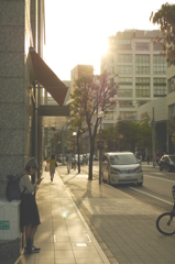 sunset street