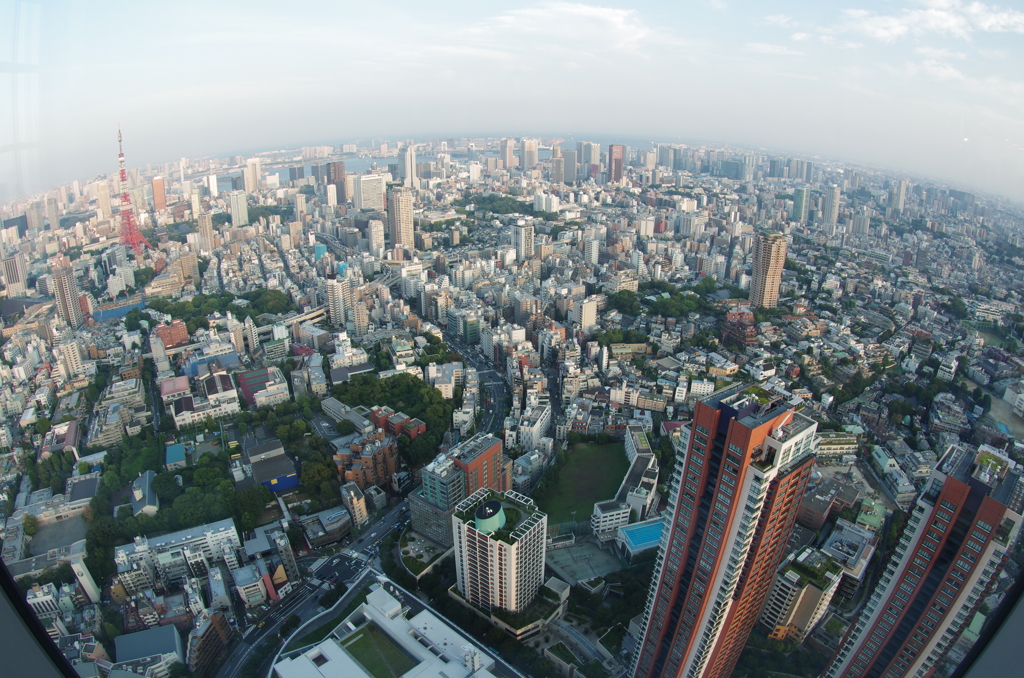 地球は丸い