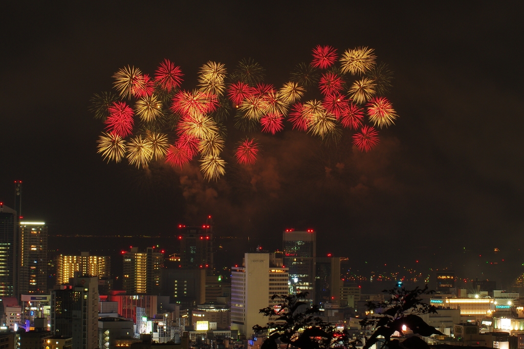 flowers over the city