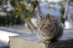 今年を振り返る