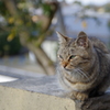 今年を振り返る