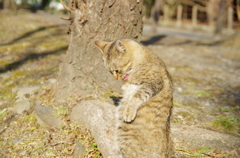 実は立てないフリしてただけなんです。