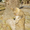実は立てないフリしてただけなんです。