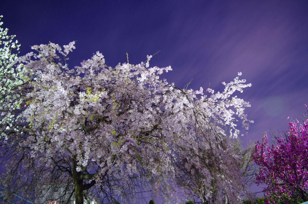 夜に漂う